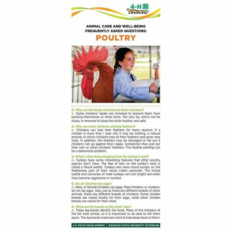 4-H Animal Care & Well-Being Bookmarks – Poultry (50 pack)