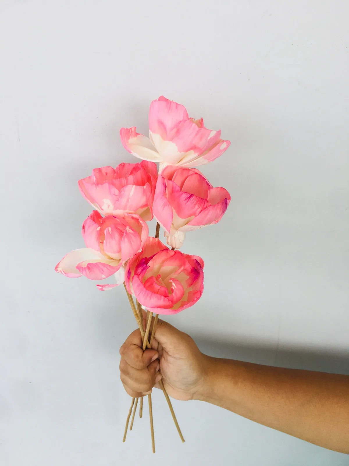 Barbie Pink Sola Flower | 5pcs