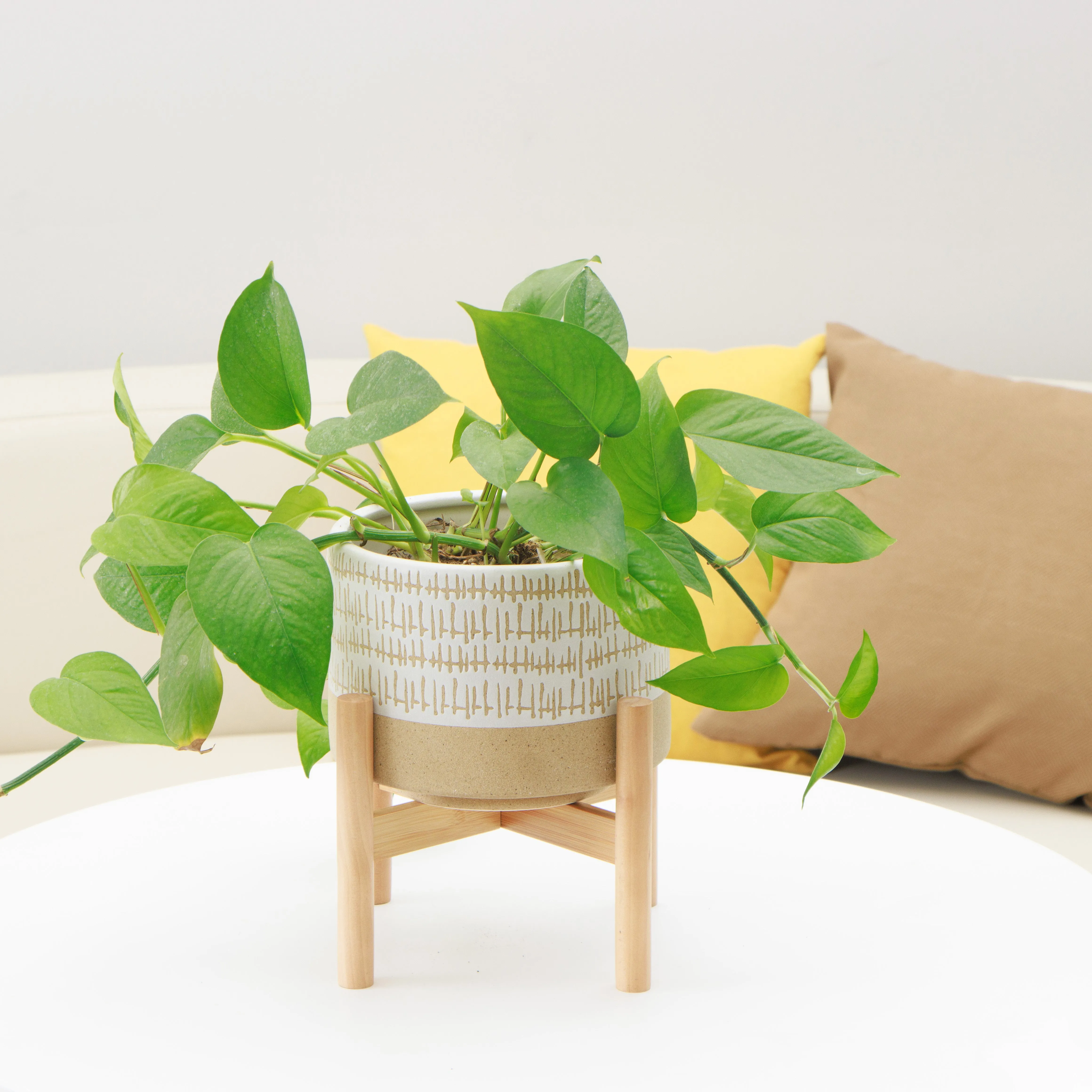 Caramel and White Plant pot with stand | Ceramic planter pot with wood stand for indoors | Bamboo Plant stand with pot. Plant not included (Caramel and white planter pot)  Planter pot is 7.25" wide x 5.75" high