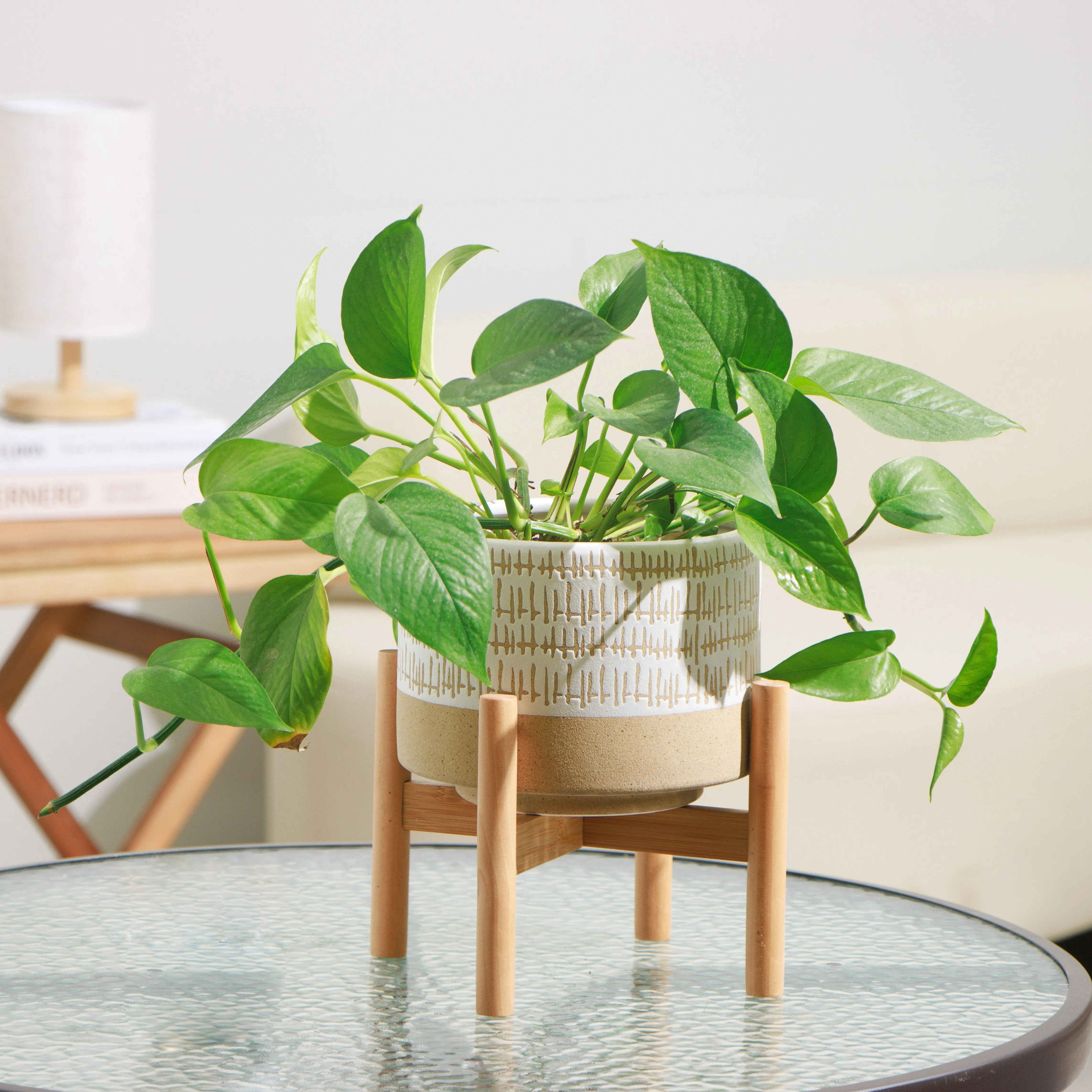 Caramel and White Plant pot with stand | Ceramic planter pot with wood stand for indoors | Bamboo Plant stand with pot. Plant not included (Caramel and white planter pot)  Planter pot is 7.25" wide x 5.75" high