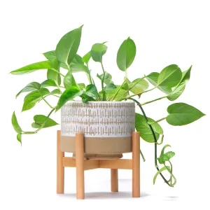 Caramel and White Plant pot with stand | Ceramic planter pot with wood stand for indoors | Bamboo Plant stand with pot. Plant not included (Caramel and white planter pot)  Planter pot is 7.25" wide x 5.75" high