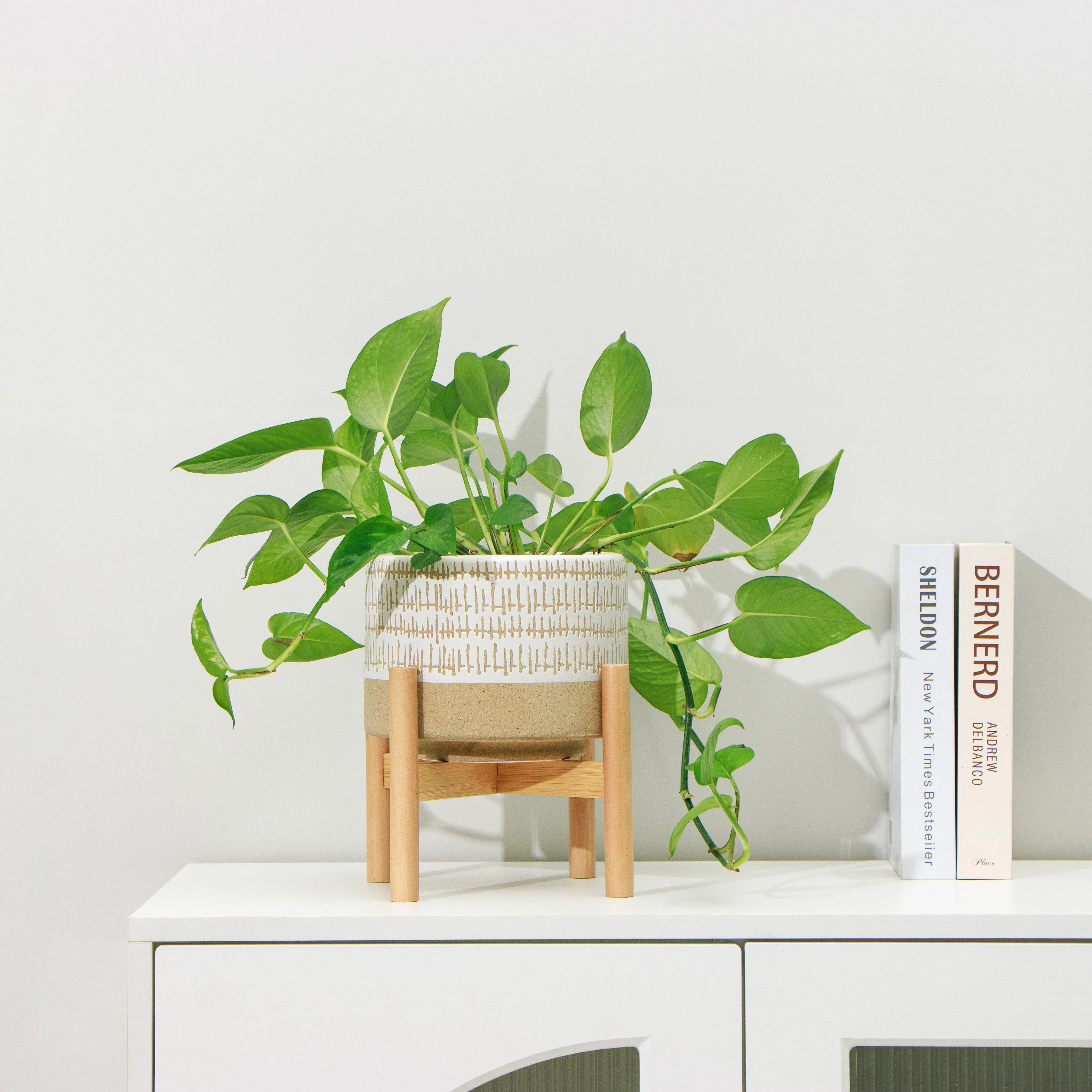 Caramel and White Plant pot with stand | Ceramic planter pot with wood stand for indoors | Bamboo Plant stand with pot. Plant not included (Caramel and white planter pot)  Planter pot is 7.25" wide x 5.75" high