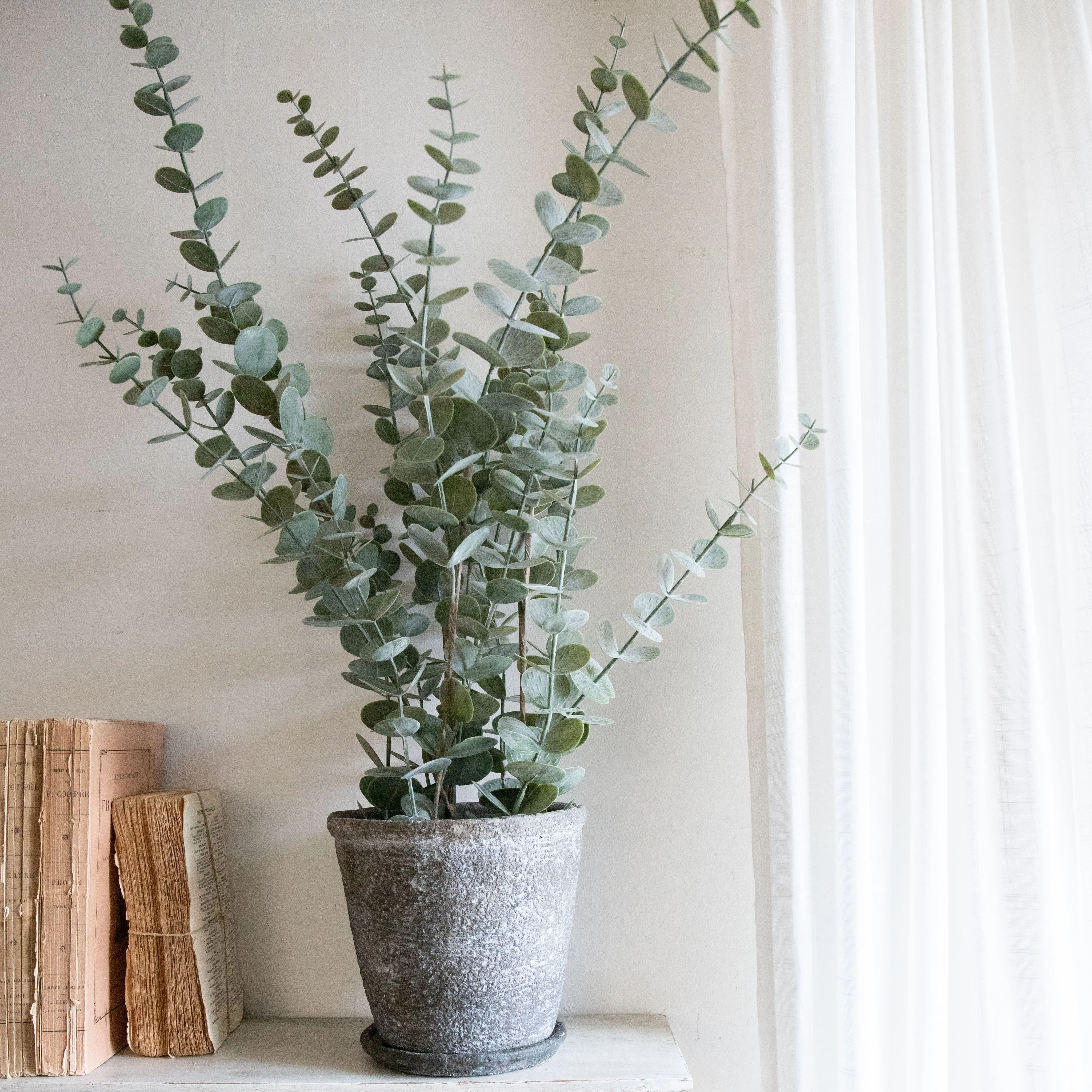 Faux Eucalyptus Plant
