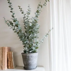 Faux Eucalyptus Plant