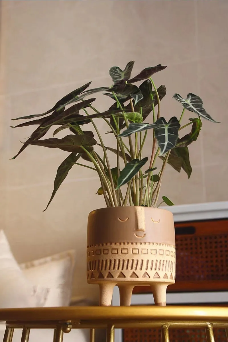 Human face ceramic flower pot