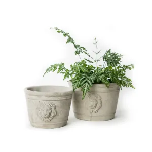 Round Lion Head Planter