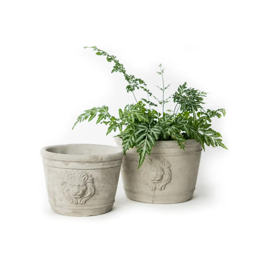 Round Lion Head Planter