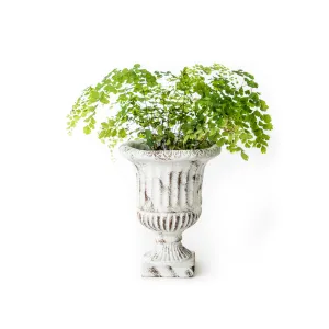 Shabby Chic Concrete Urn