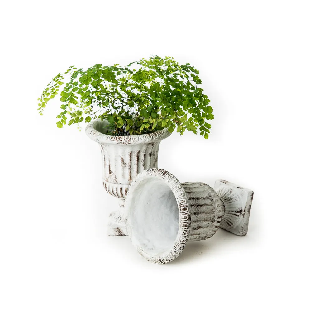 Shabby Chic Concrete Urn